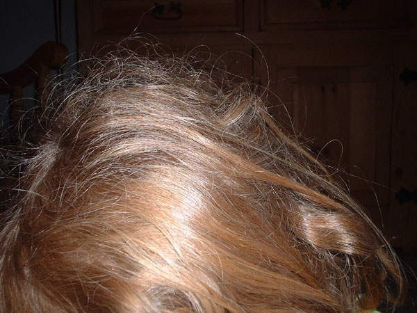 Close up of Savannah's hair.jpg 93.8K